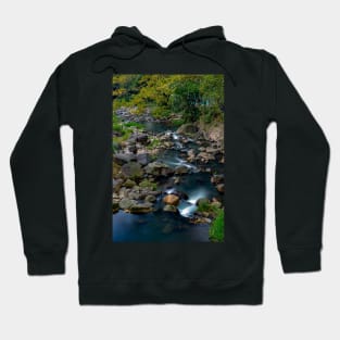 Mambukal Forest Stream Hoodie